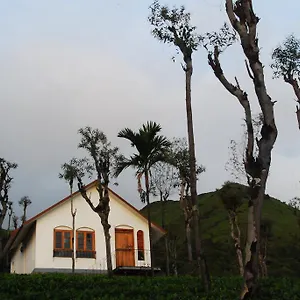 https://tea-terrace-vythiri.kerala-hotels.net